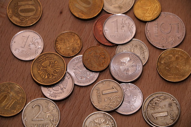 cizí mince